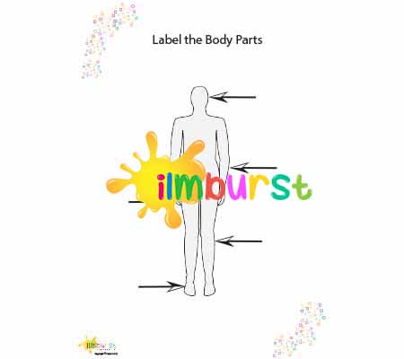 Label the Body Parts (Worksheet)