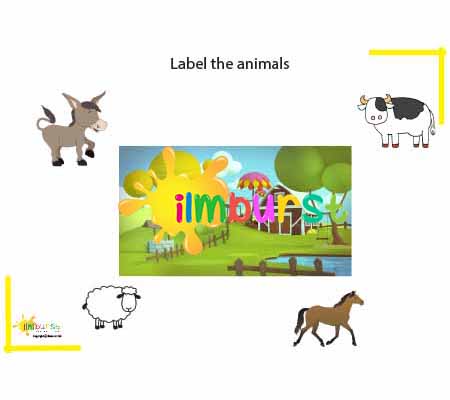 Label the Farm Animals (Worksheet)
