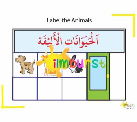 Label the Pets (Worksheet)