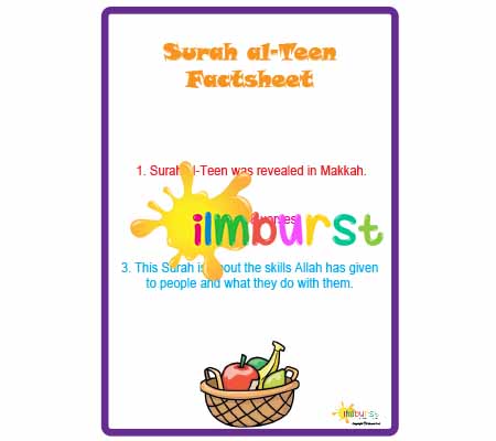 Surah al-Teen – Factsheet