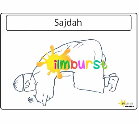 Prayer Positions – Prostration (Sajdah)
